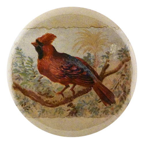 Cardinal