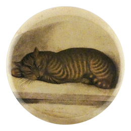 Cat Nap