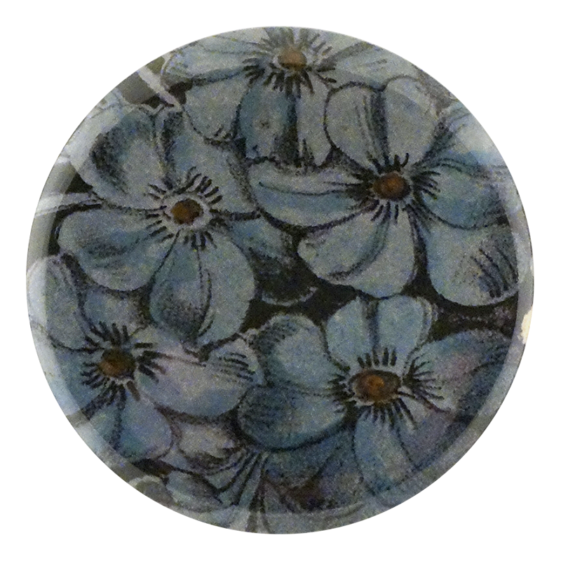 Choice Phlox