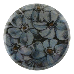 Choice Phlox