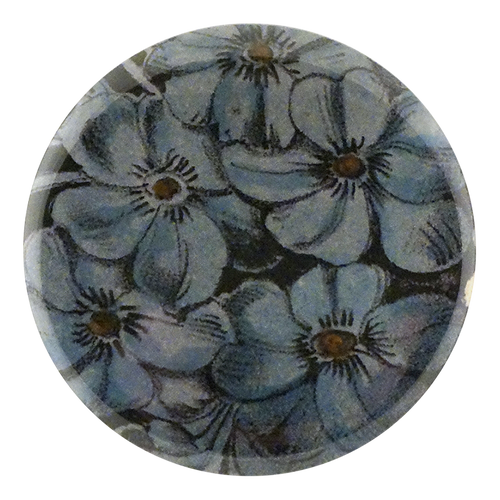 Choice Phlox