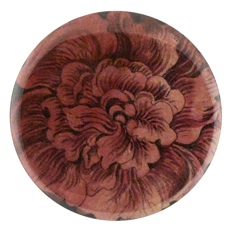 Choice Pink Rose