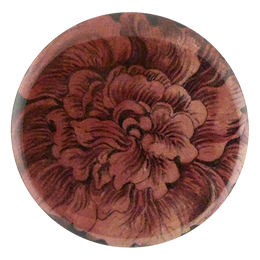 Choice Pink Rose