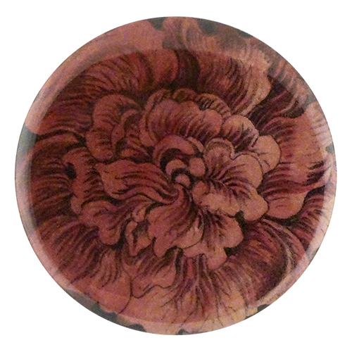 Choice Pink Rose