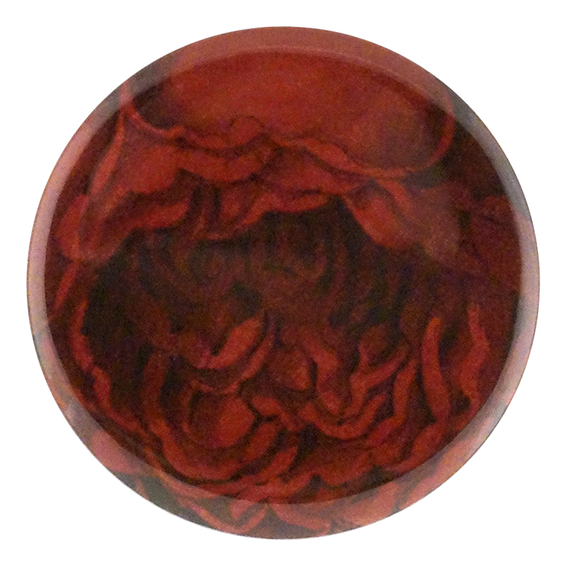 Choice Red Rose