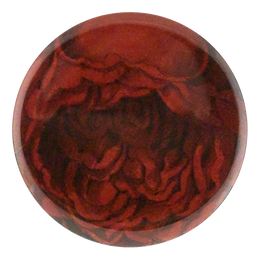 Choice Red Rose