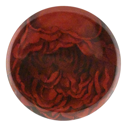 Choice Red Rose