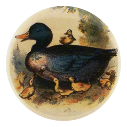 Dame Duck
