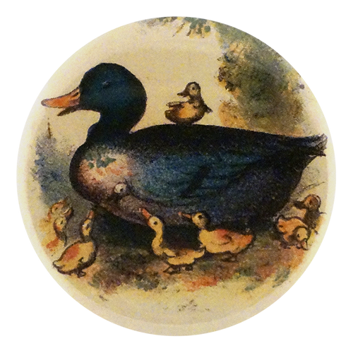 Dame Duck