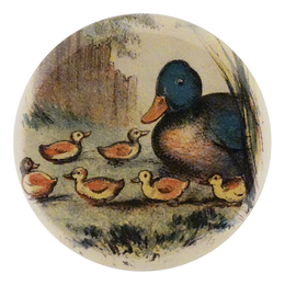 Ducklings