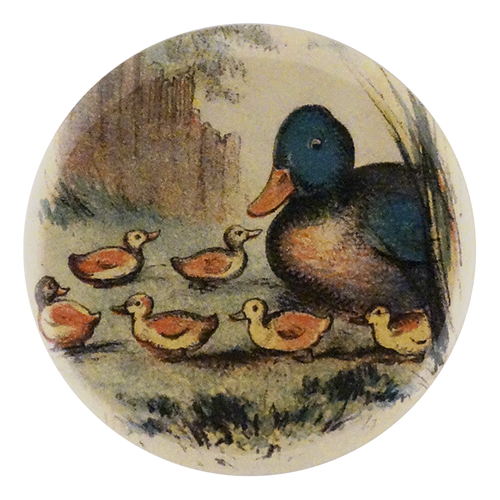 Ducklings