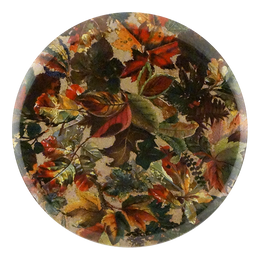 Fall Collage