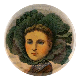 Flat Dutch Cabbage