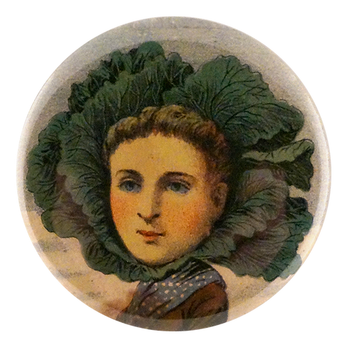 Flat Dutch Cabbage