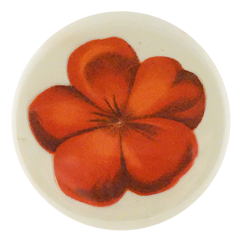 Geranium Fleuret 1