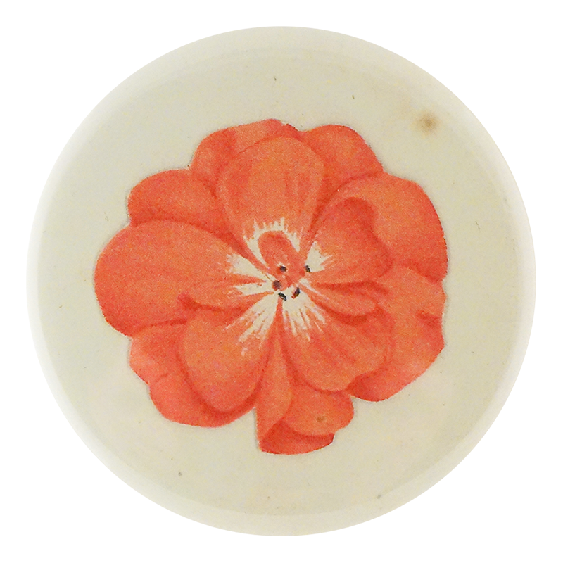 Geranium Fleuret 2