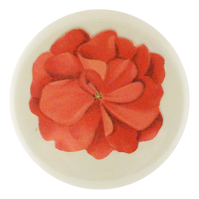 Geranium Fleuret 3
