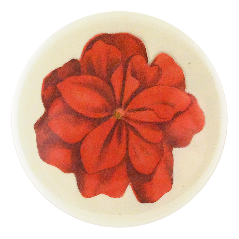 Geranium Fleuret 4