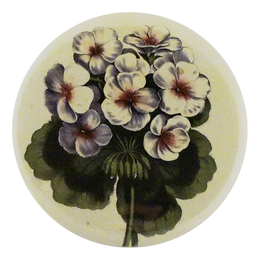 Geranium Scarlet