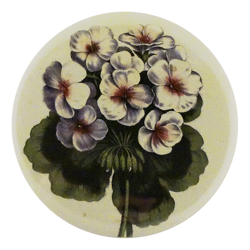 Geranium Scarlet