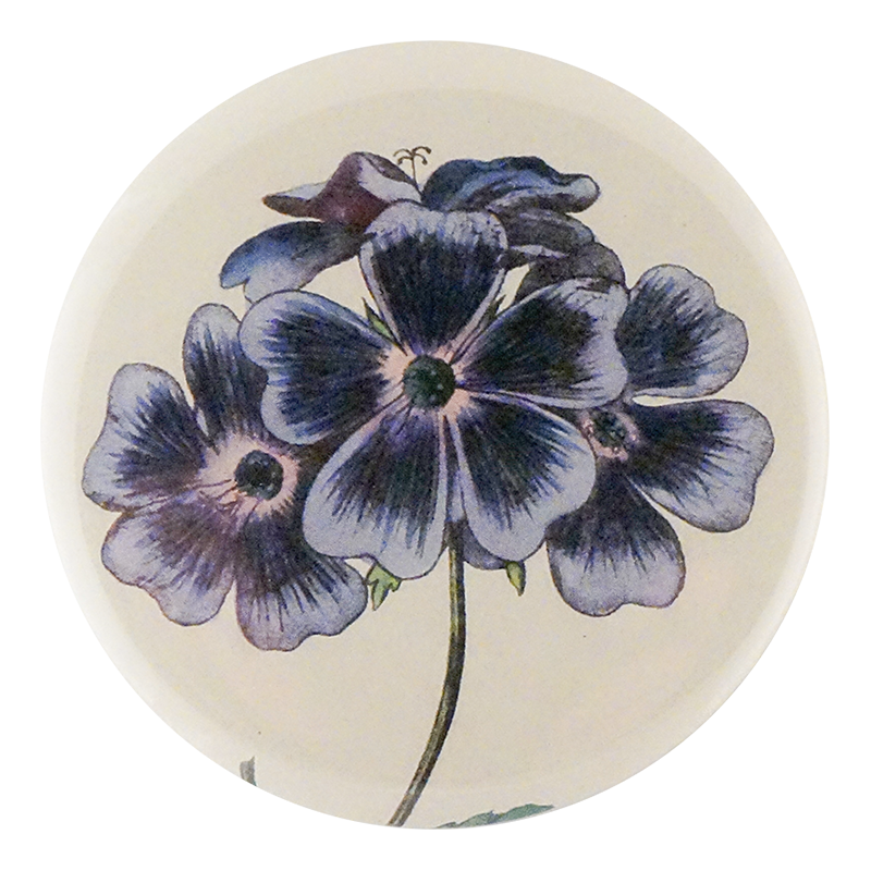 Blue Geranium
