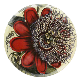 Passiflora