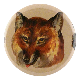 Red Fox