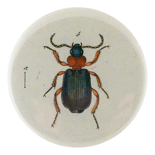 Red & Green Bombardier