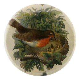 Robin with Nest