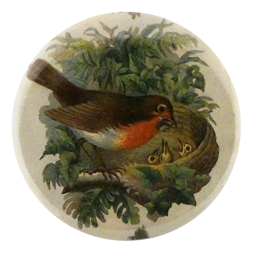 Robin with Nest