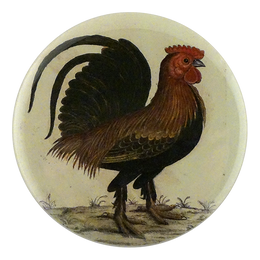 The Bantam Cock
