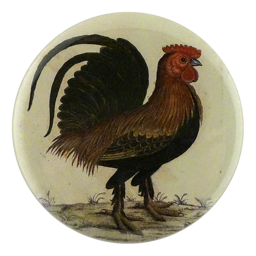 The Bantam Cock
