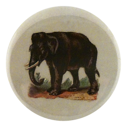 Wandering Elephant