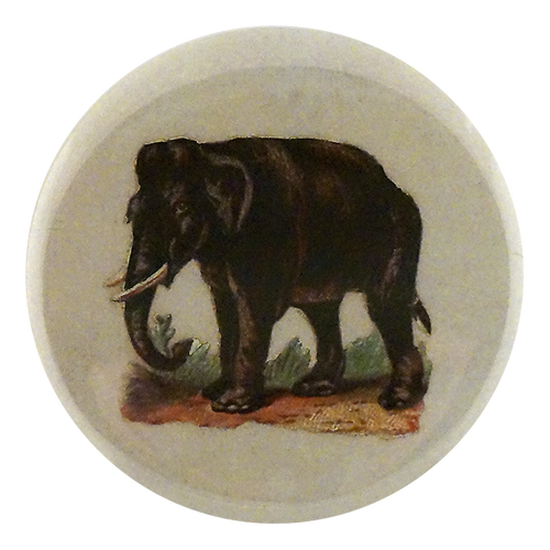 Wandering Elephant