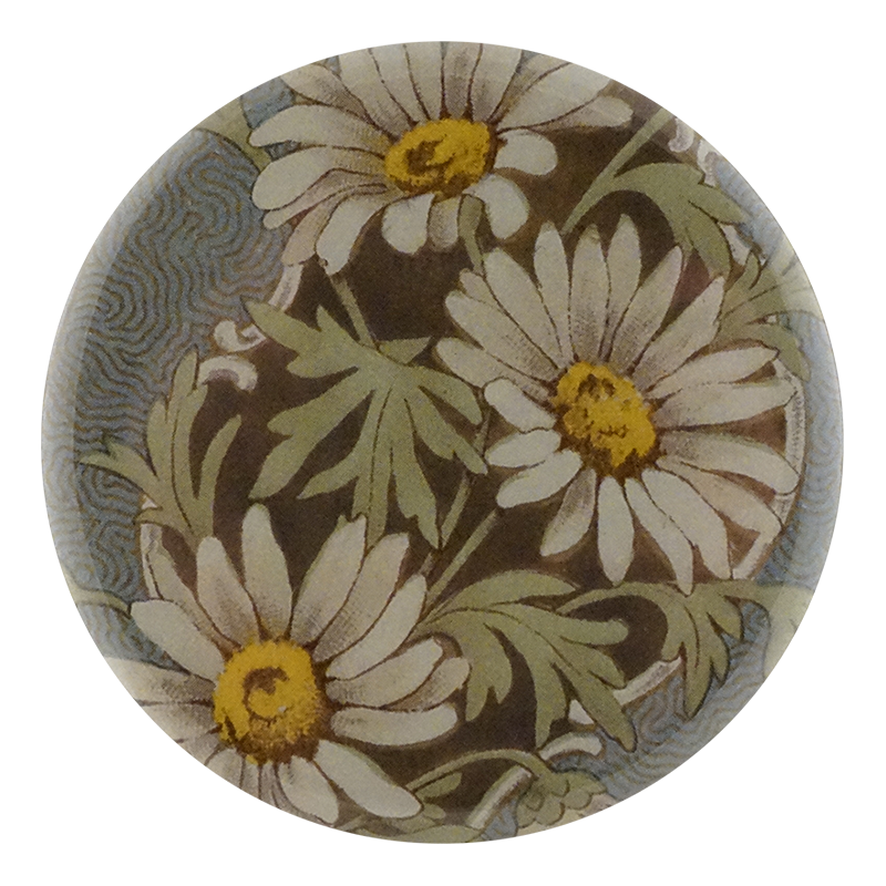 White Daisy Card Back
