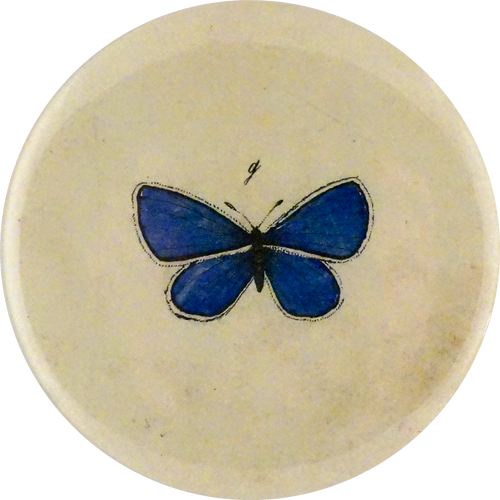 Holy Blue Gossamer Wings Butterfly