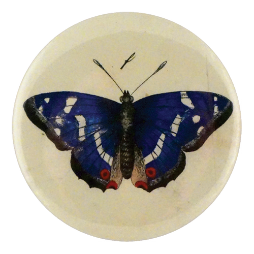 Purple Emperor Butterfly