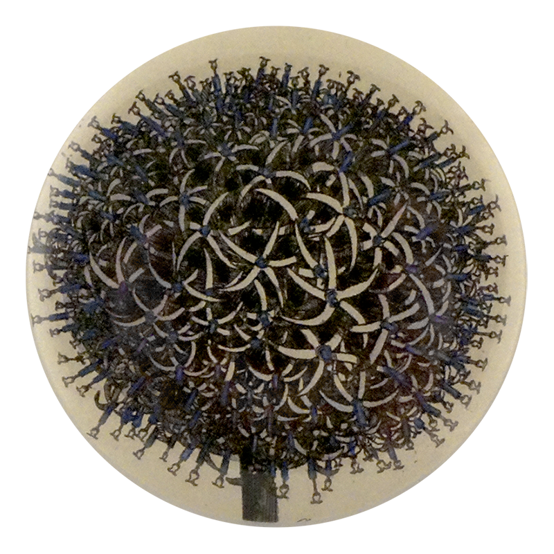 Globe Thistle