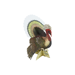 Turkey Place Cards