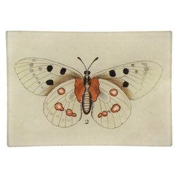 Butterfly #2 (Spotted)