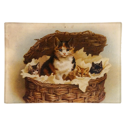 Cat Basket