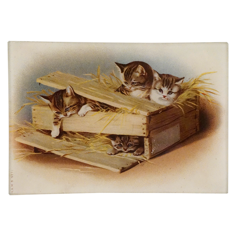 Vintage-style illustration of four kittens in a wooden crate with hay.