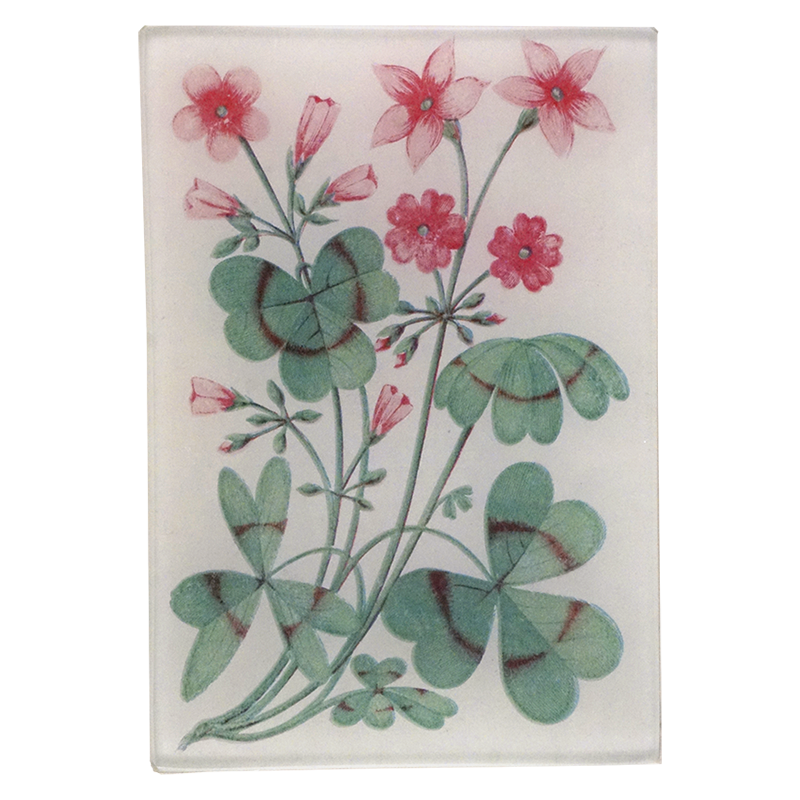 Pink flowers and green clovers on a four and a half inch by six and a half inch glass tray. 