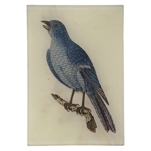 The Solitary Sparrow II