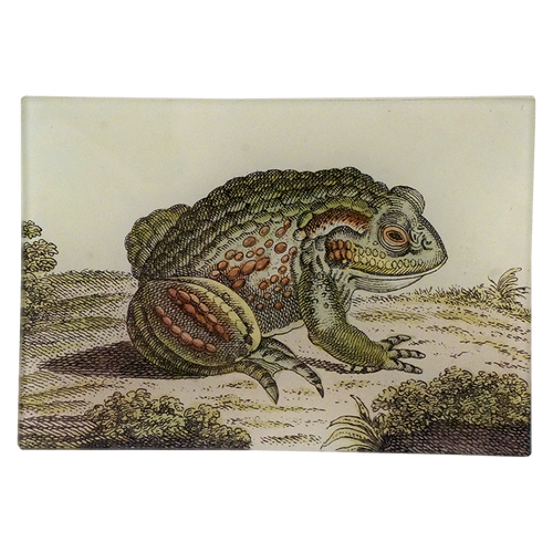 Frog #16 - FINAL SALE