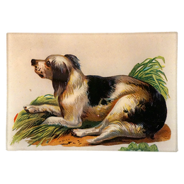 Dog in Field - FINAL SALE