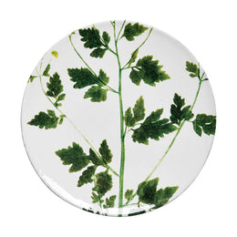 Matricaria Plate