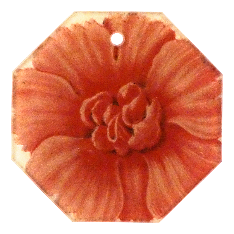 Primula 3