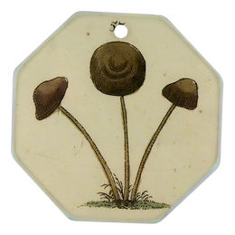 Fairy Mushroom #53
