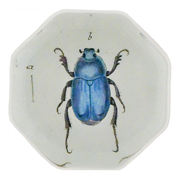 Blue Scarab Beetle (Beetles)